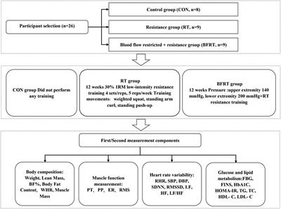 Effects of blood flow restriction training on muscle fitness and cardiovascular risk of obese college students